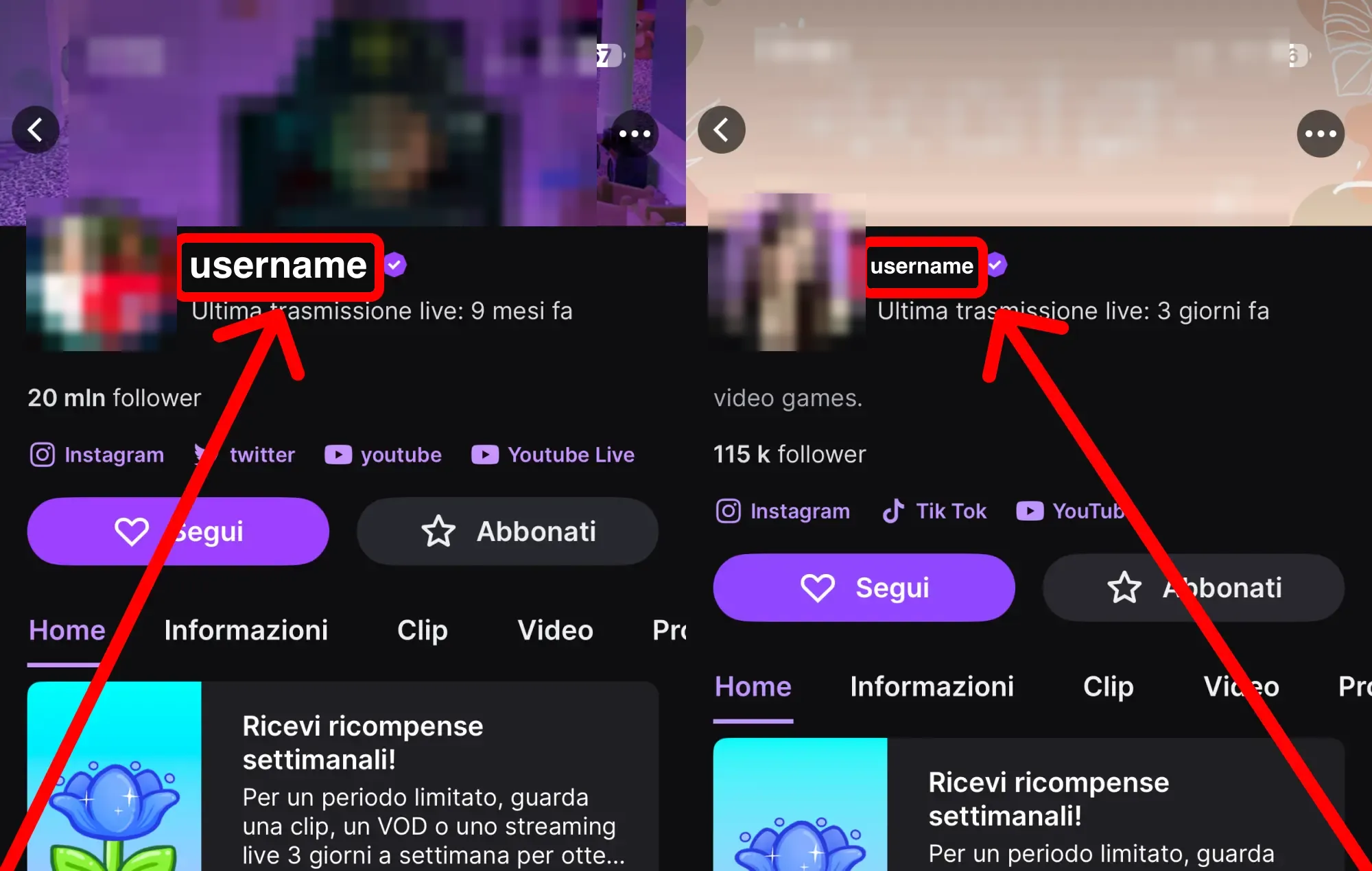 Comprare spettatori live Twitch: guida con screenshot – dove trovare il tuo nome utente o il link del profilo Twitch